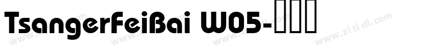 TsangerFeiBai W05字体转换
